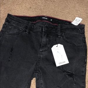 Cello jeans